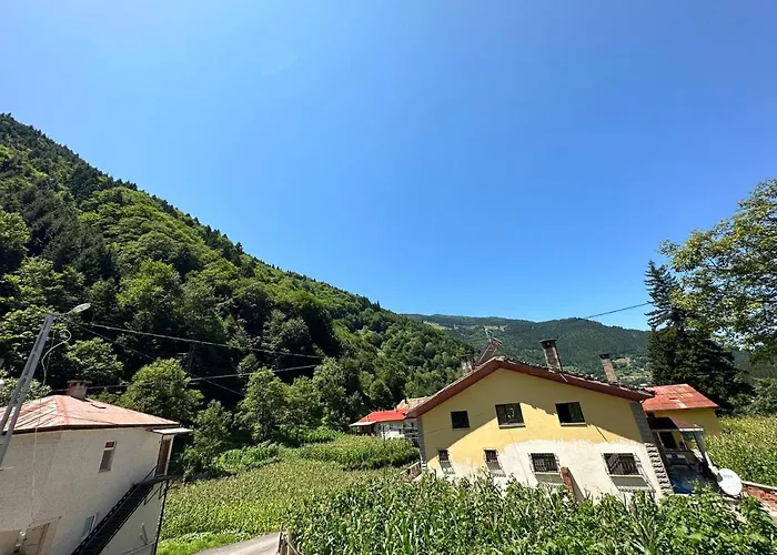 Lejlighed Uzungoel Meryemli Trabzon